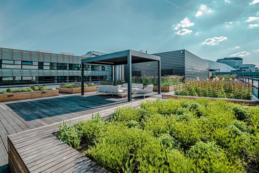 A green roof terrace of Budova B